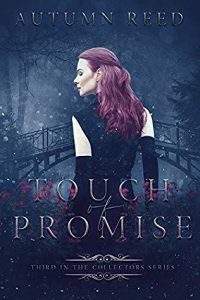 touch of promise cover