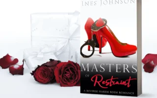 masters of restraint release blitz graphic