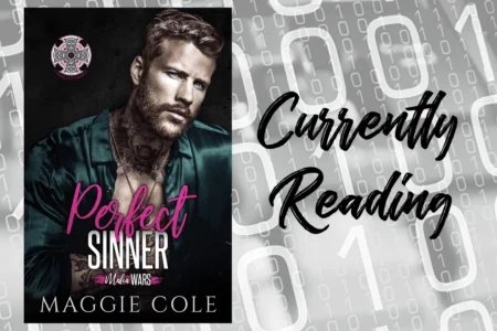 perfect sinner currently reading graphic